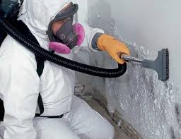 Best Commercial Mold Inspection  in State Line, PA